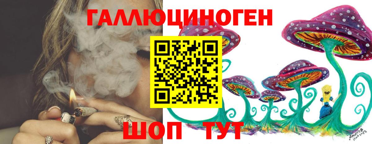 Галлюциногенные грибы мухоморы  Псилоцибиновые грибы GOLDEN TEACHER  закладки  Назрань  Вход с VPN 