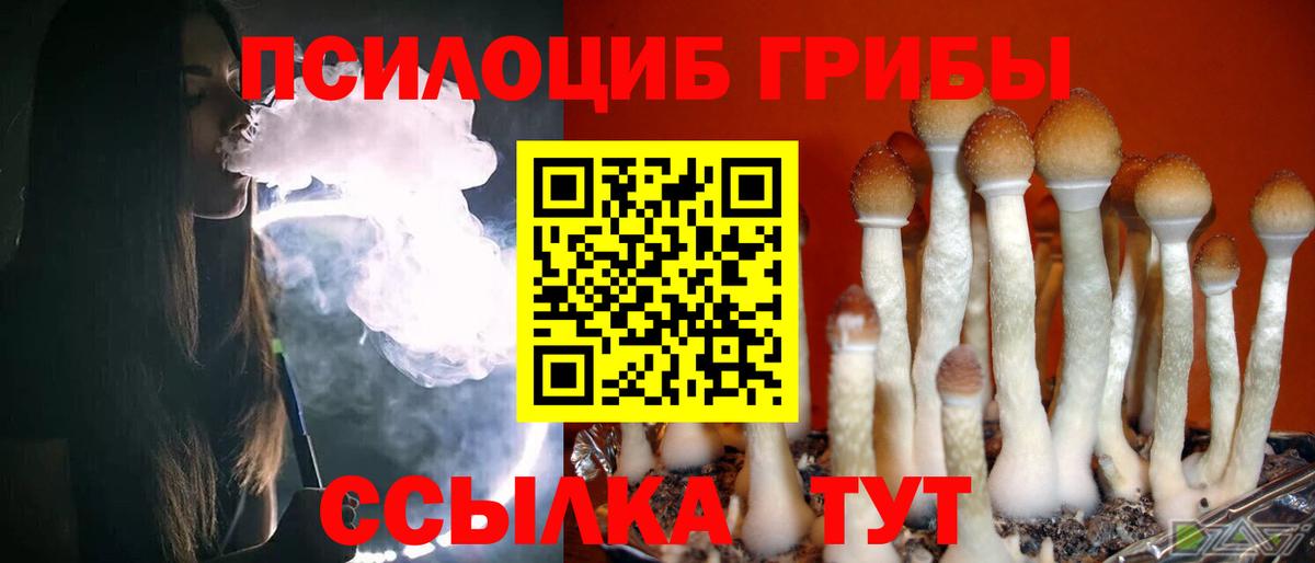 Псилоцибиновые грибы Psilocybe Назрань