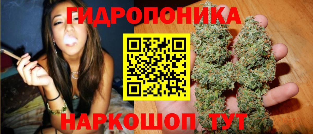 Марихуана ГИДРОПОН  Вход с VPN  Каннабис OG Kush  Бошки Шишки гибрид  Назрань 